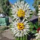 Funeral wreaths
